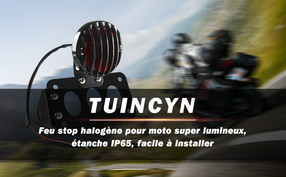 Feu arrière de moto