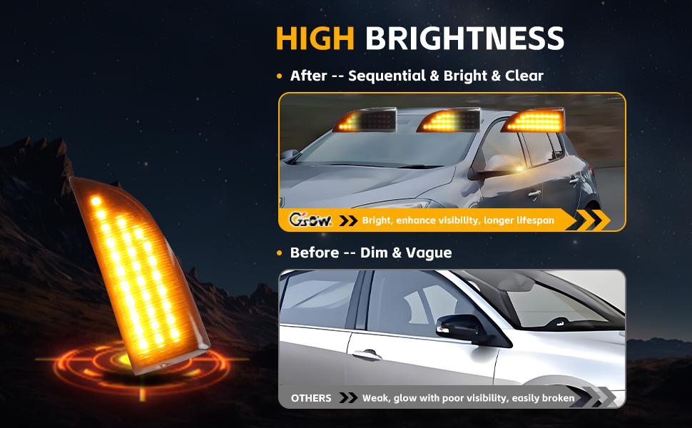 GSOWO LED Clignotant Indicateur avec Canbus sans erreur 2835 SMD pour Re-nault Me-gane 3 MK3 III RS
