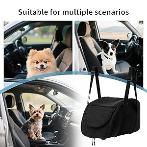 Siège Auto Pour Chien