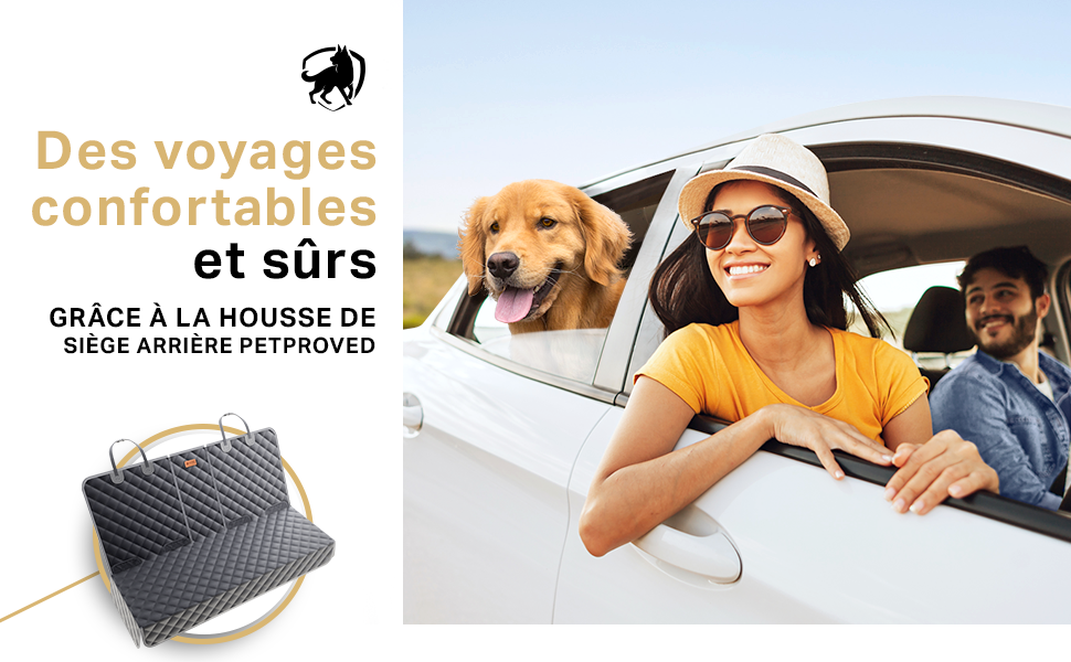 chien voiture